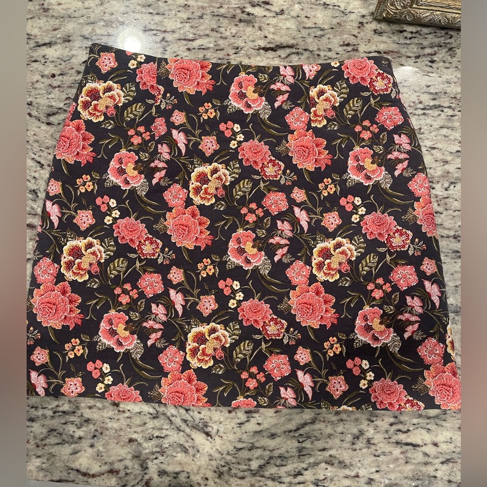Ann Taylor Loft embroidered Skirt size 8